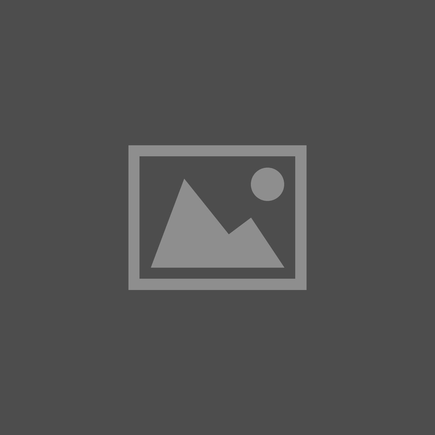 Accessibility is important don't forget image alt attribute